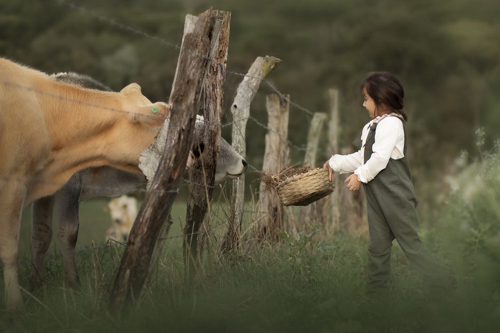 Photograph by Regiane Haverroth