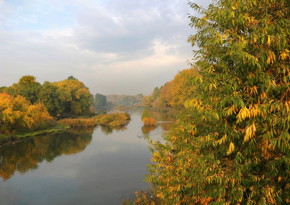 Фотография автора Кухта Мария