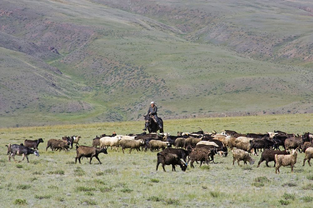 Photograph by Мария Самоловова