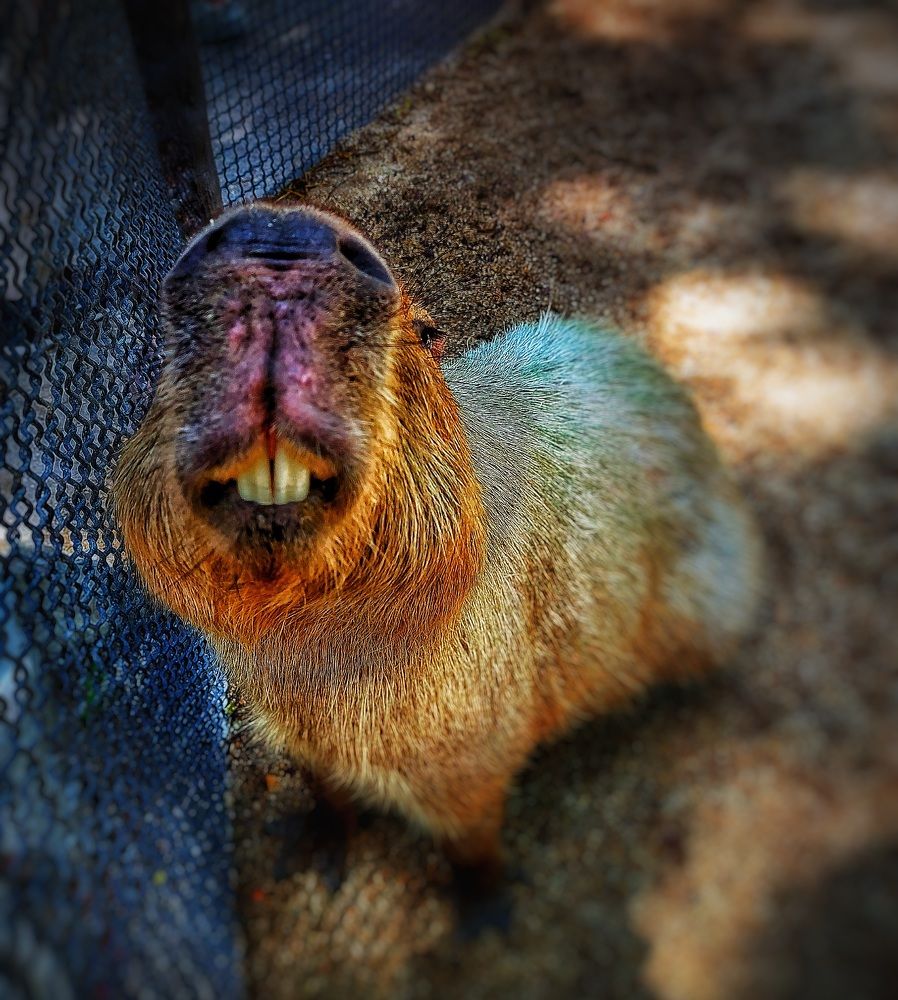 Photograph by Aref rafiepour