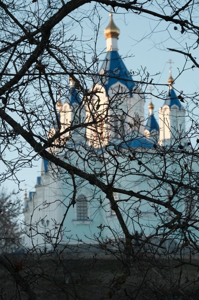 Фотография автора Владислав     (ЭнВэ) Нефёдов