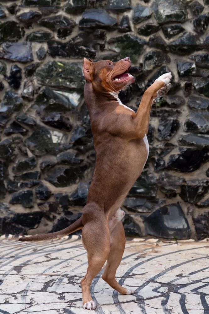 Photograph by Наталья Носова (Кучеренко)