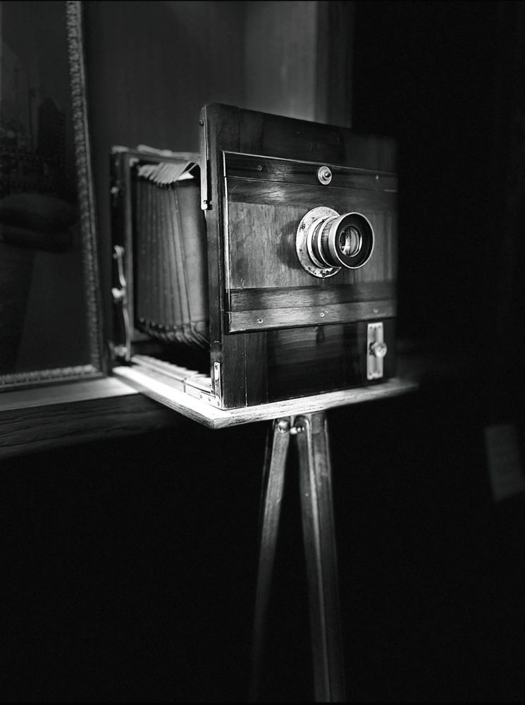 Photograph by Эрика Чечерина