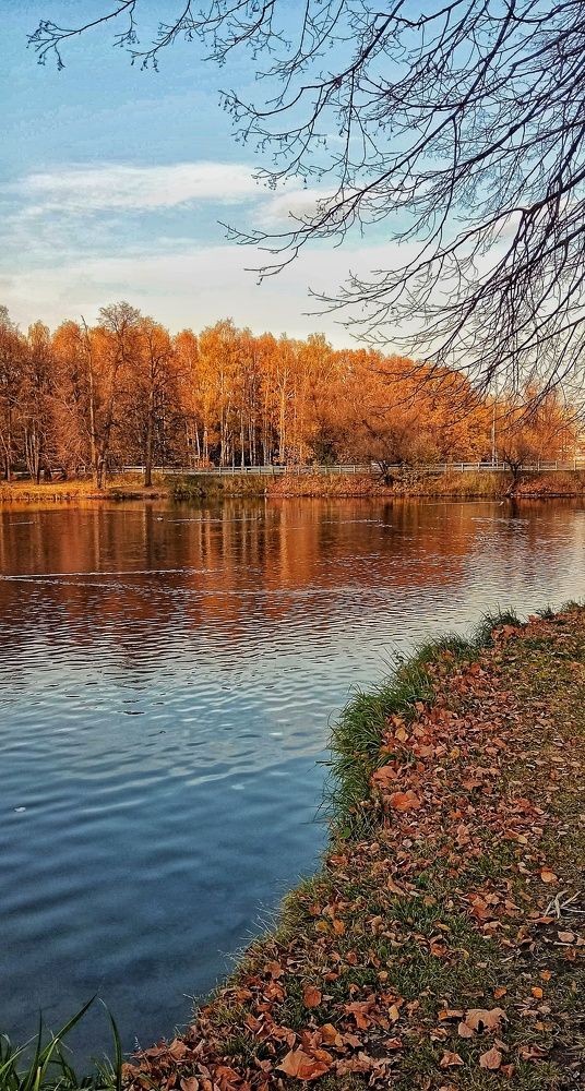 Photograph by Ирина Шилина