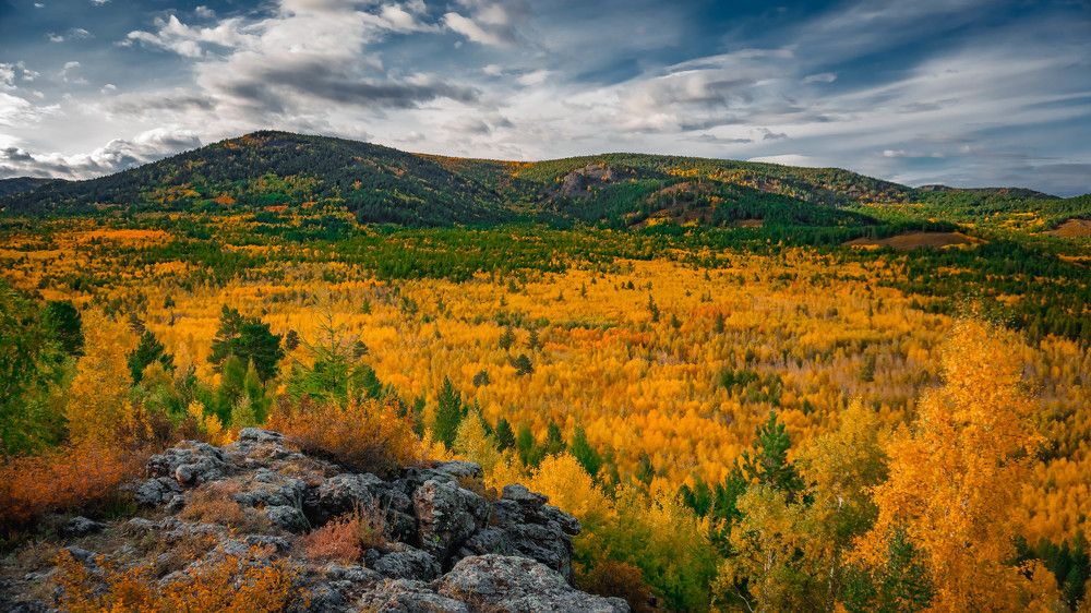 Photograph by Шмаков Денис