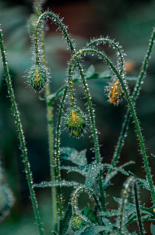 Photograph by Любовь Бусова