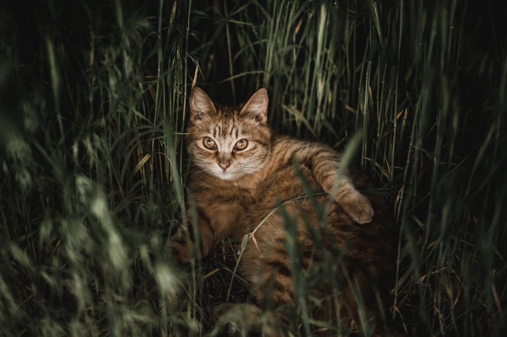 Photograph by Olesya Mikhailova