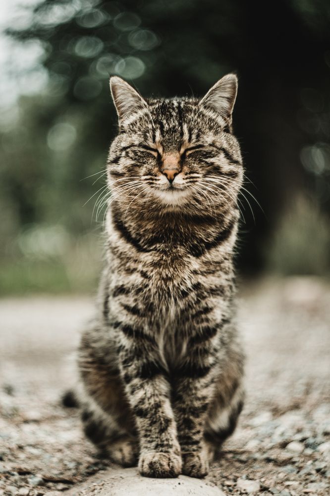 Photograph by Olesya Mikhailova