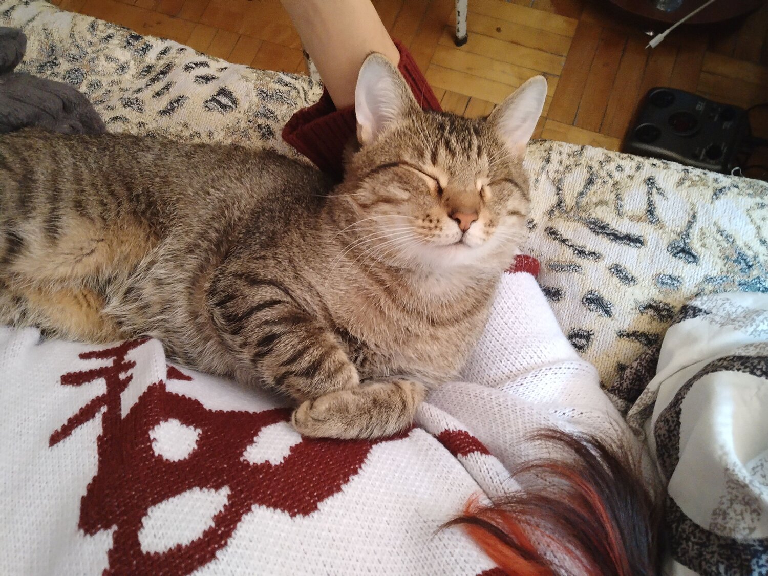 Photo #9671227