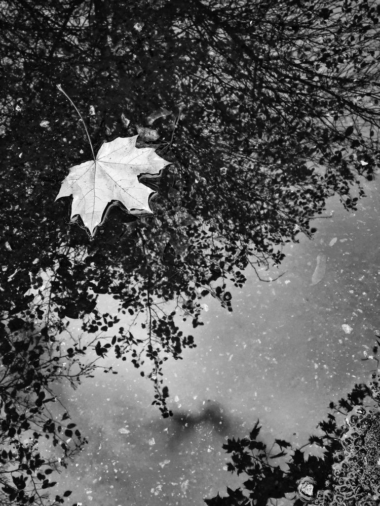 Photograph by Людмила Григорьева