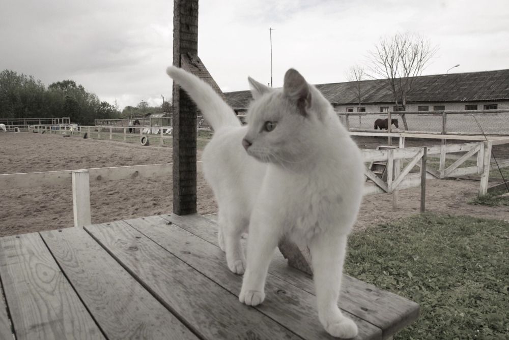 Photograph by Nadin Gaaze