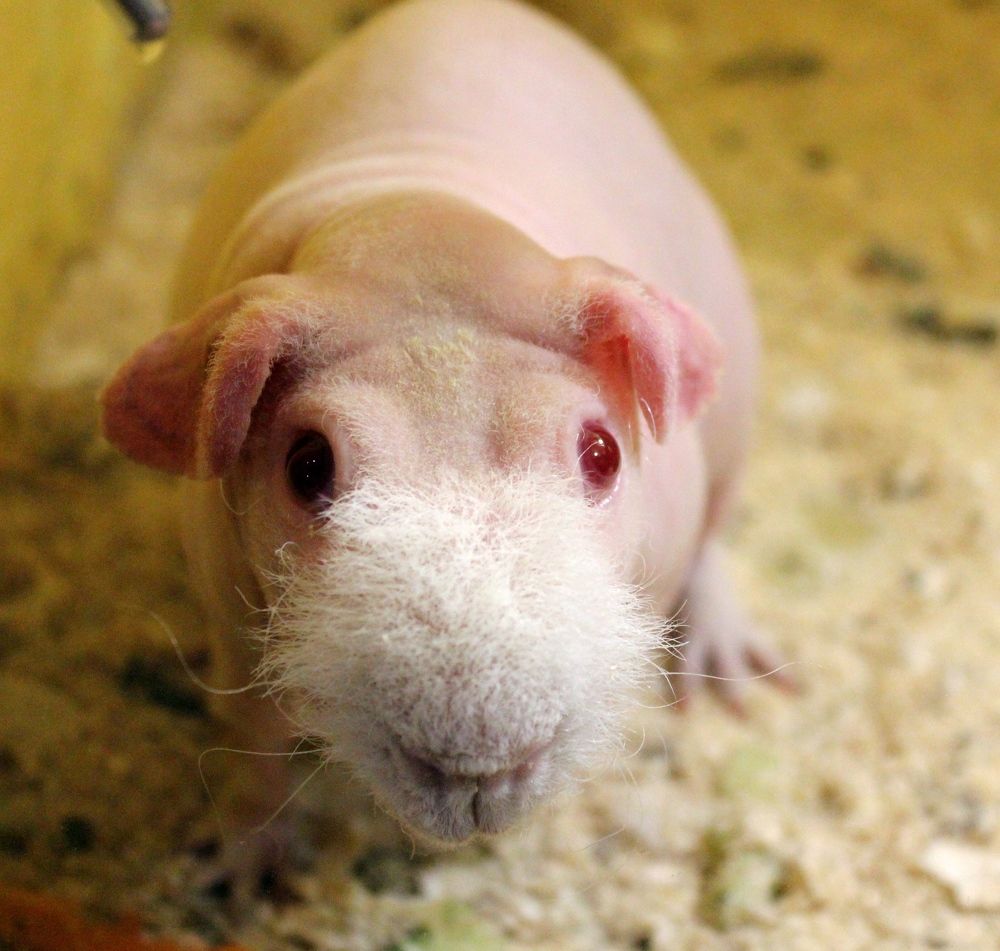 Photograph by Olga Bagaeva