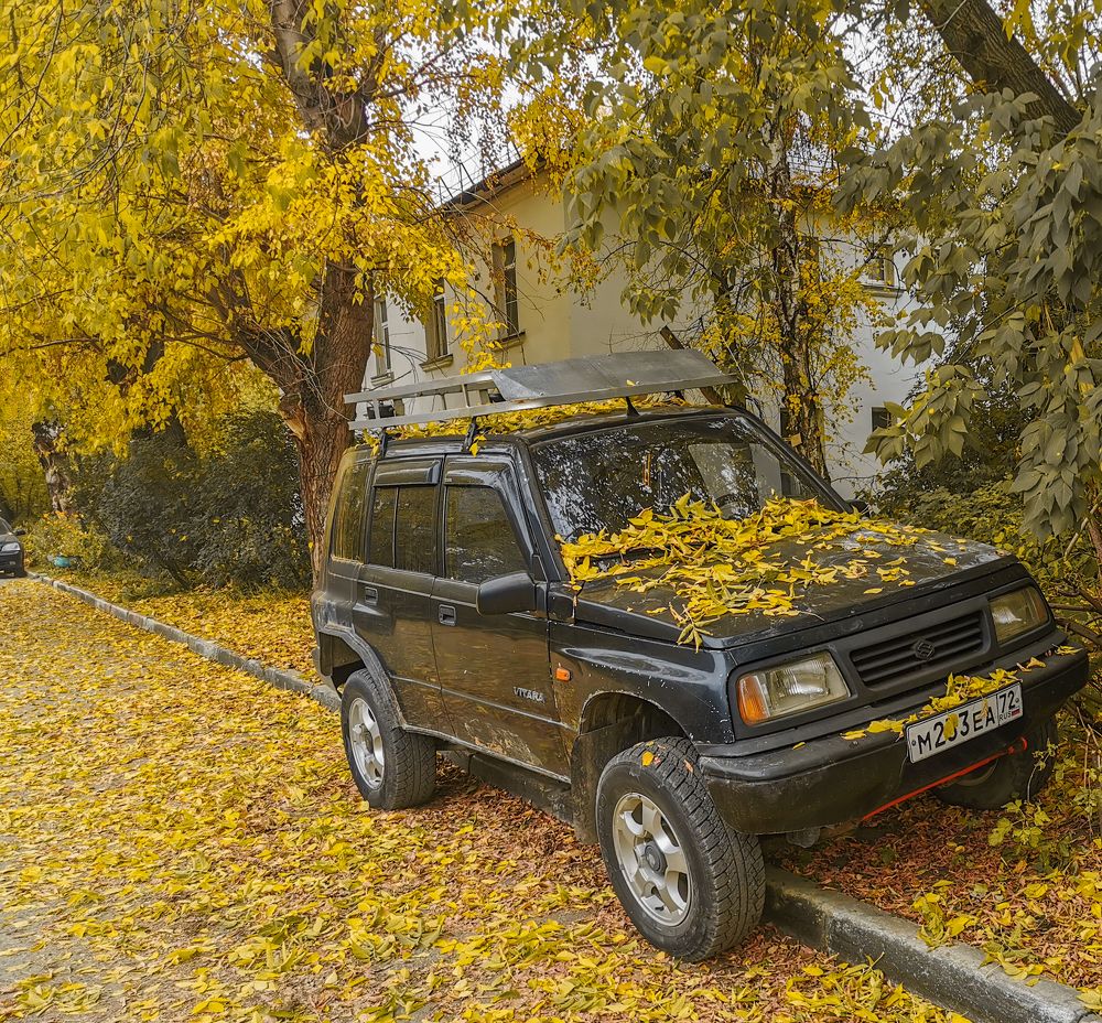 Фотография автора Виталий Гавронский
