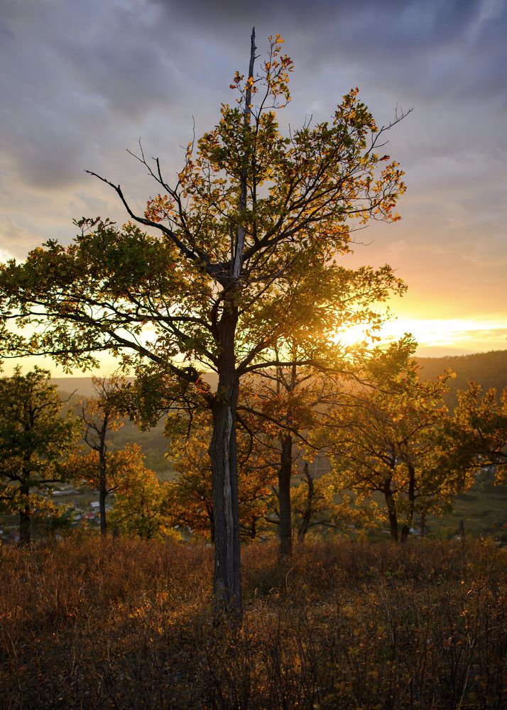 Photograph by Кулишев Николай