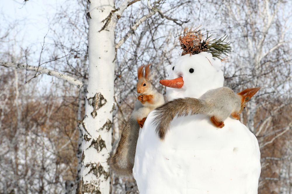Натуральный блондин у нас в лесу такой один
