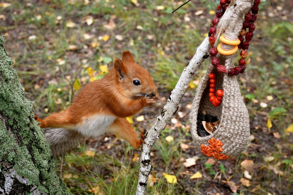 Балетная растяжка