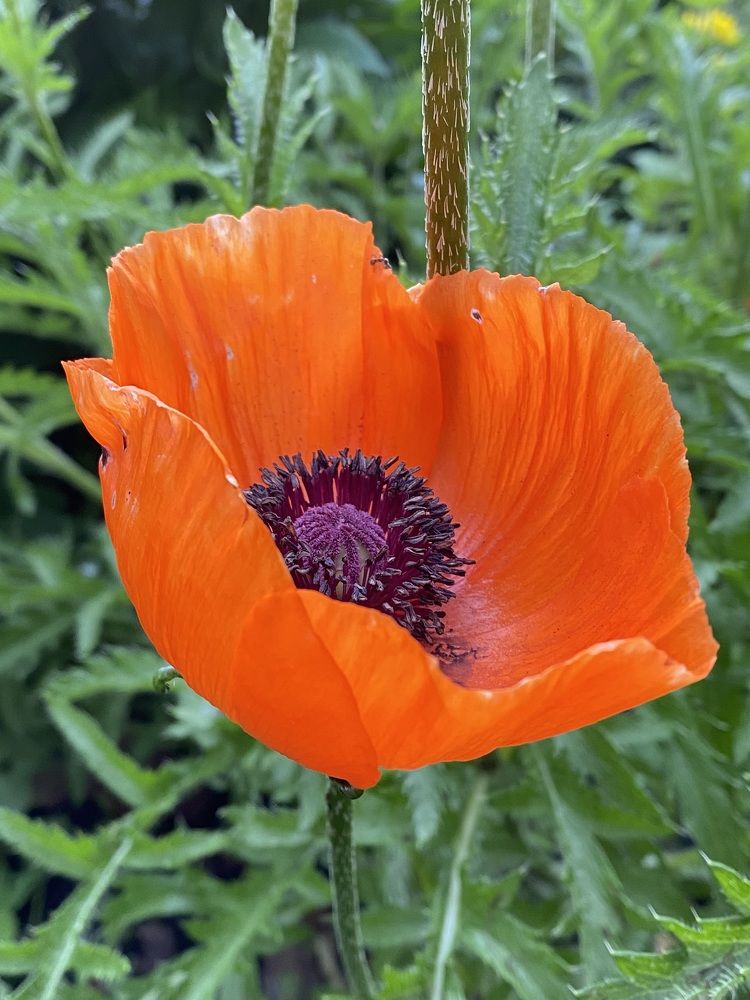 Photograph by Гузэль