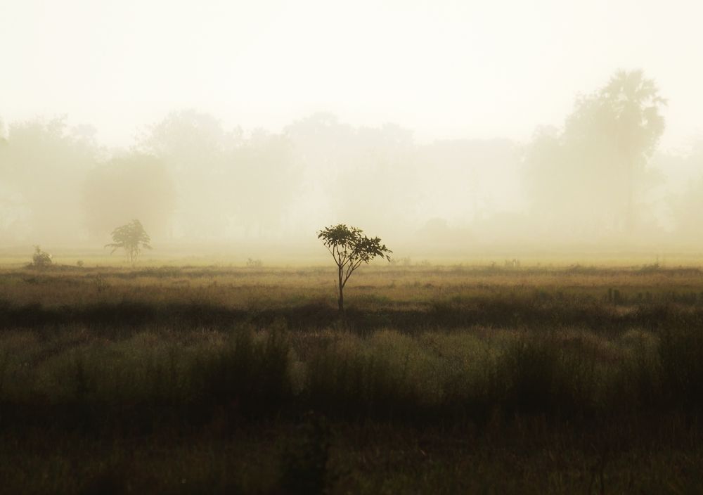 Photograph by Pheap Sophinh