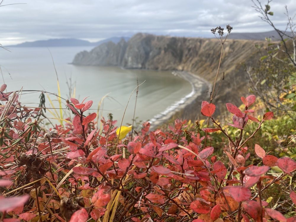 Фотография автора Наталья Вертугина