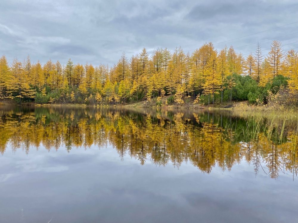 Фотография автора Наталья Вертугина