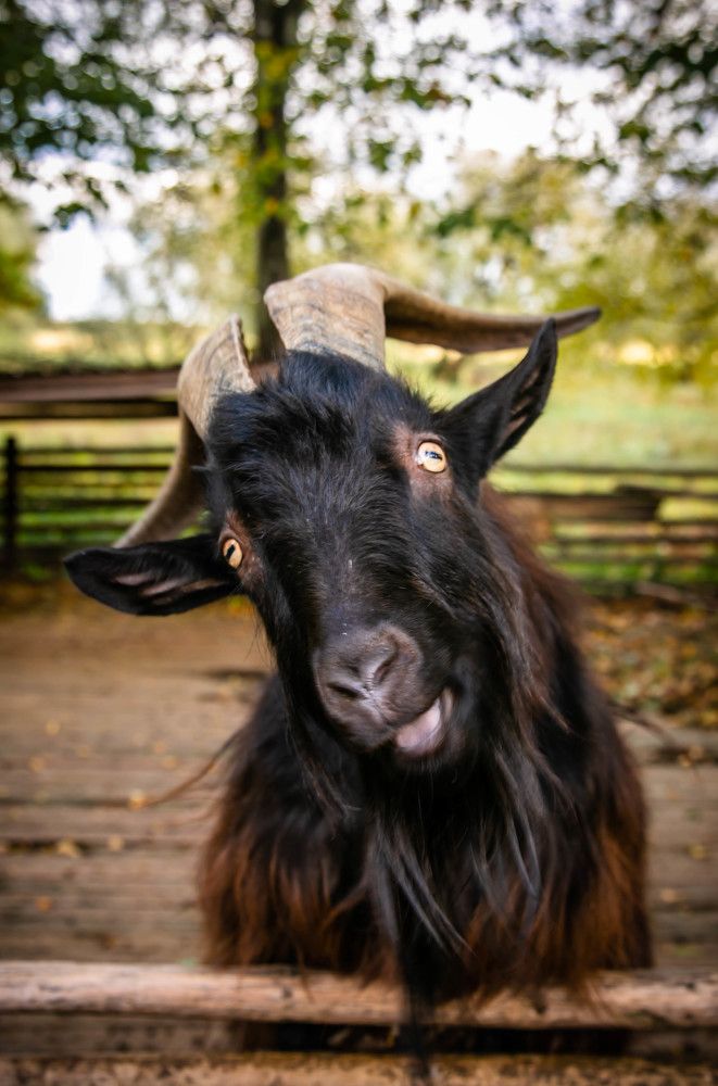 Photograph by Ольга Сафронова