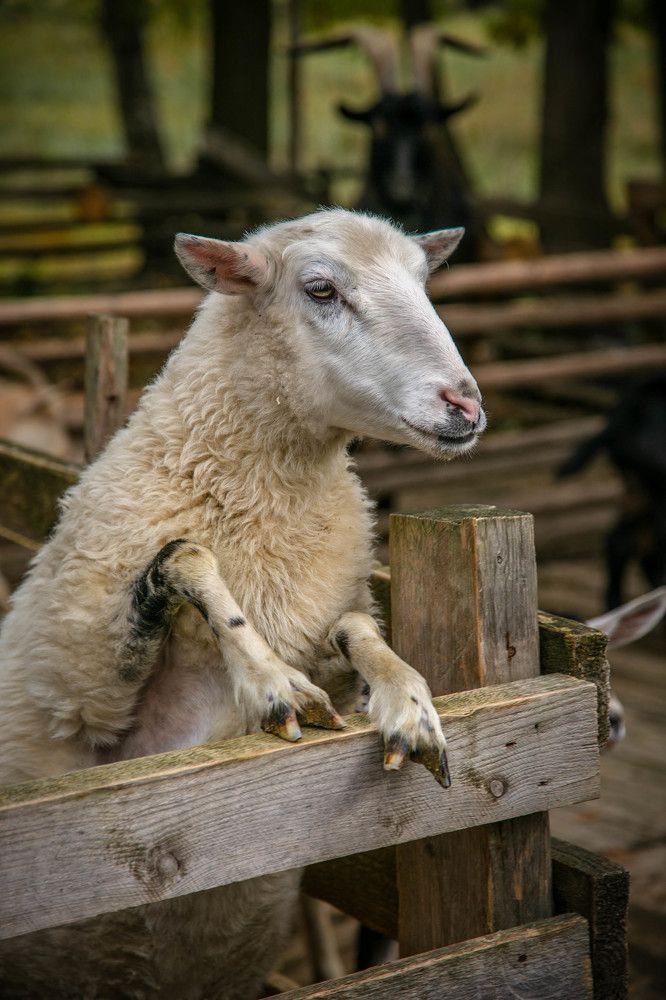 Photograph by Ольга Сафронова