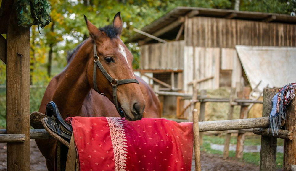 Photograph by Ольга Сафронова