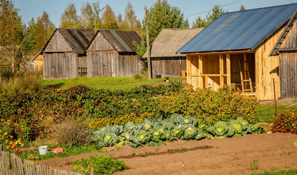 Photograph by Ольга Сафронова