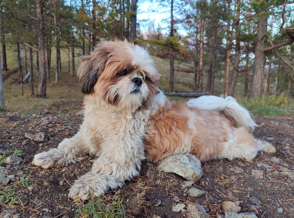 Photograph by Юлия Гинтер