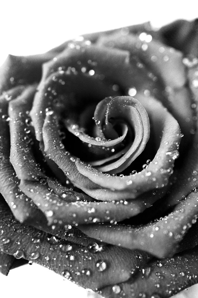 Photograph by Бальзирова Наталья