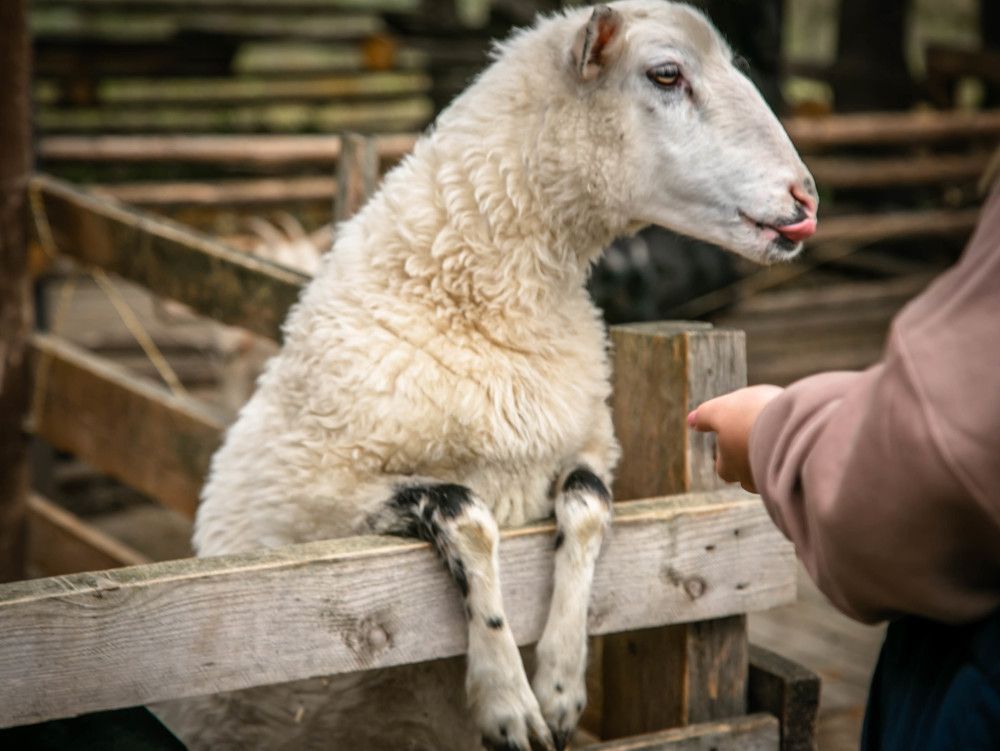 Photograph by Ольга Сафронова