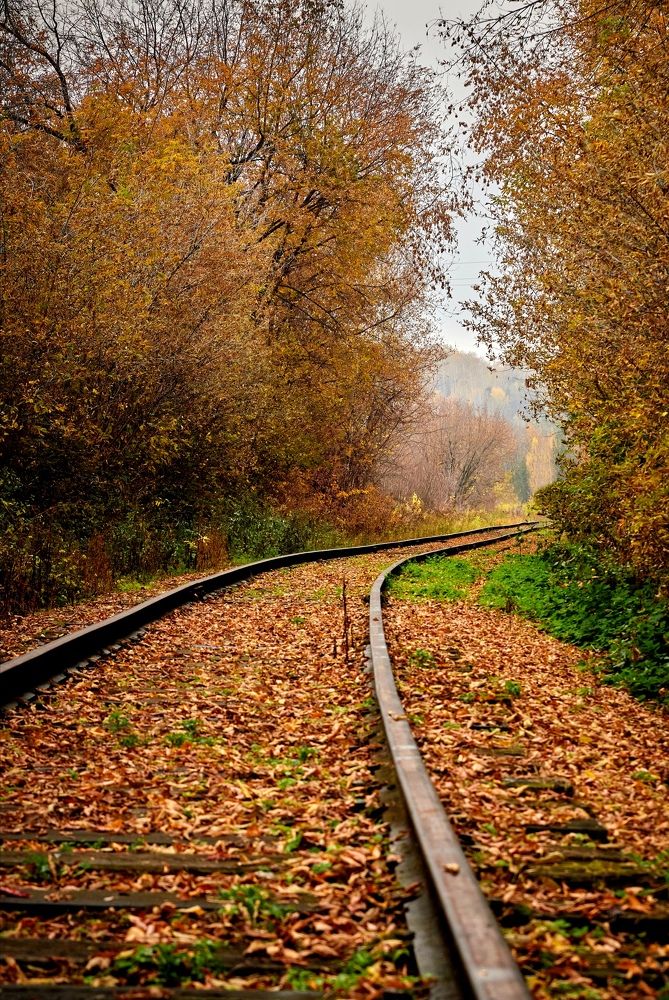 Photograph by КОНСТАНТИН ГОРДЕЕВ