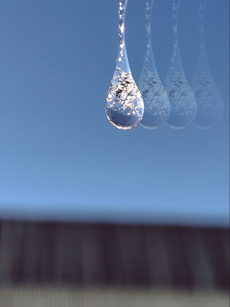 Photograph by Алёна Пшеленская