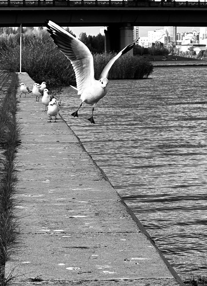 Photograph by Anastasiya Alferova