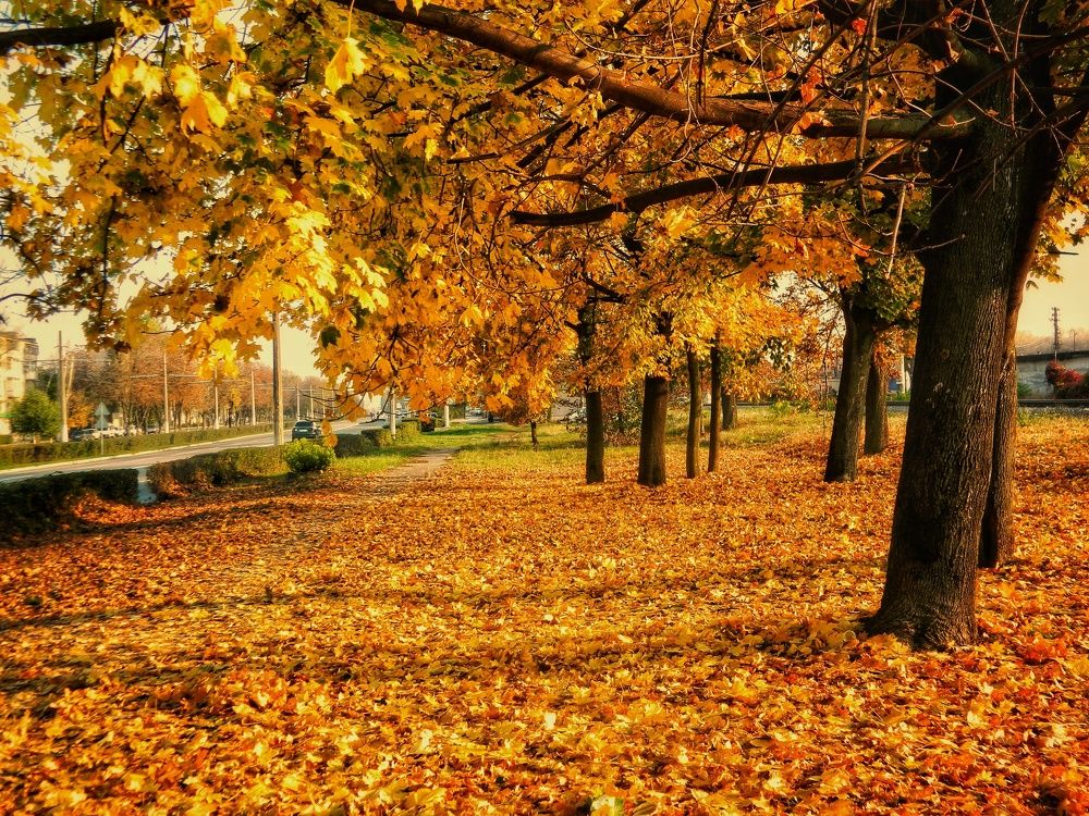 Photograph by Sergey Velichko