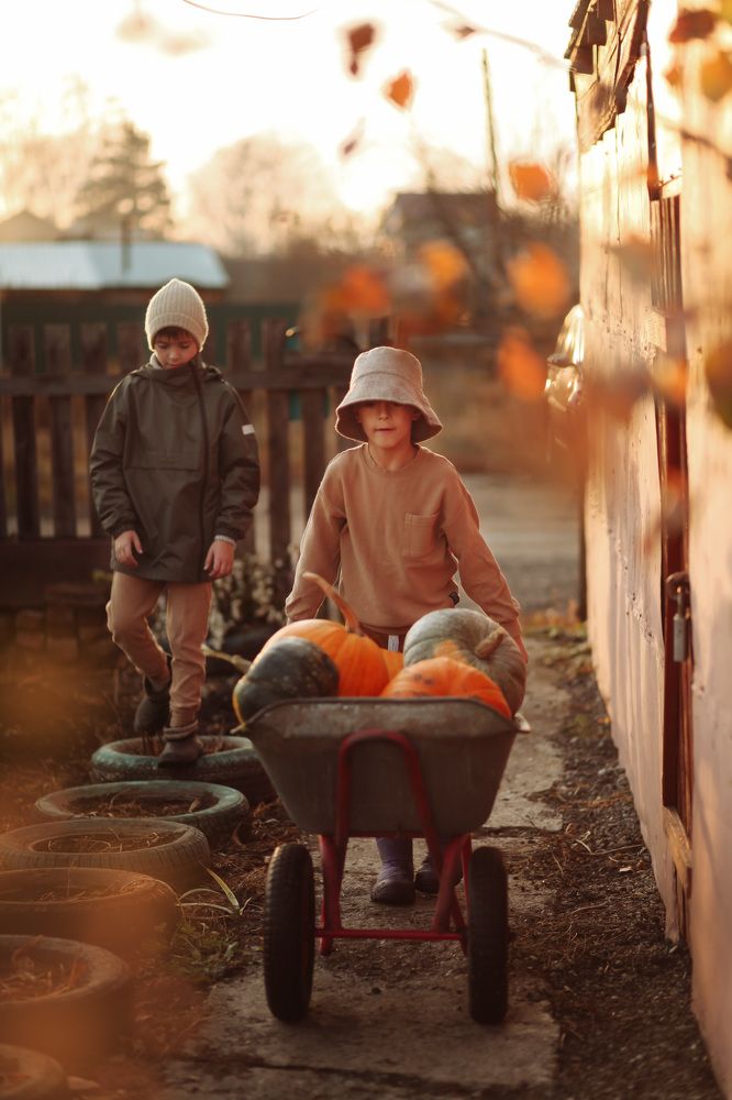 Photograph by Татьяна Зайцева