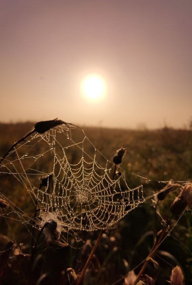 Photograph by Инна Адамович