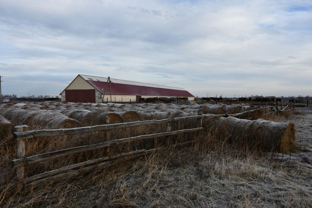 Photograph by Наталия Брянцева