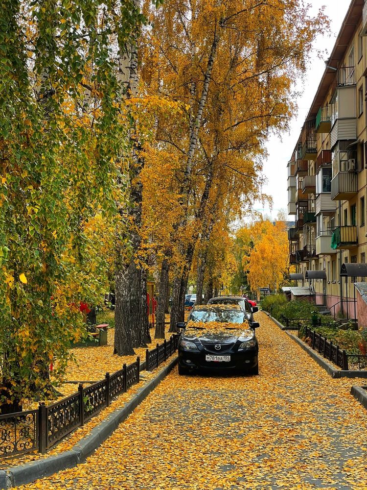 Фотография автора Nadezhda