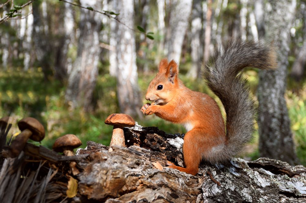 Удачная находка