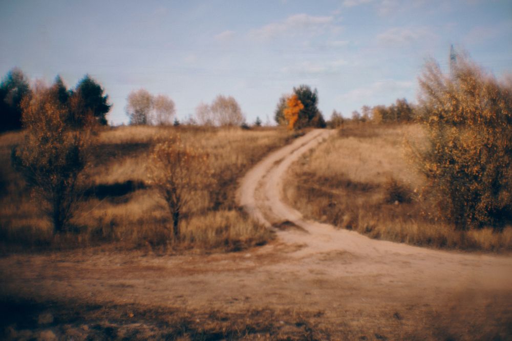 Photograph by Елена Леонидовна