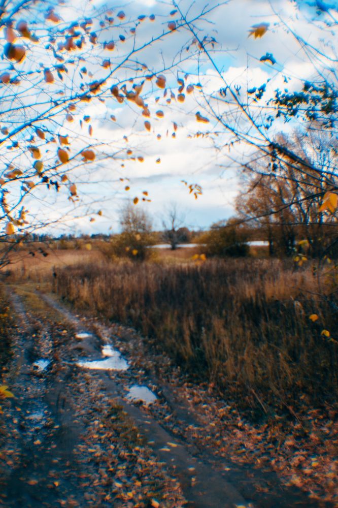 Photograph by Елена Леонидовна