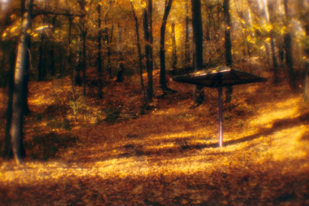 Photograph by Елена Леонидовна