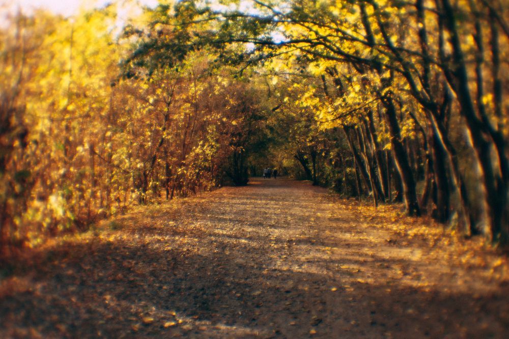 Photograph by Елена Леонидовна