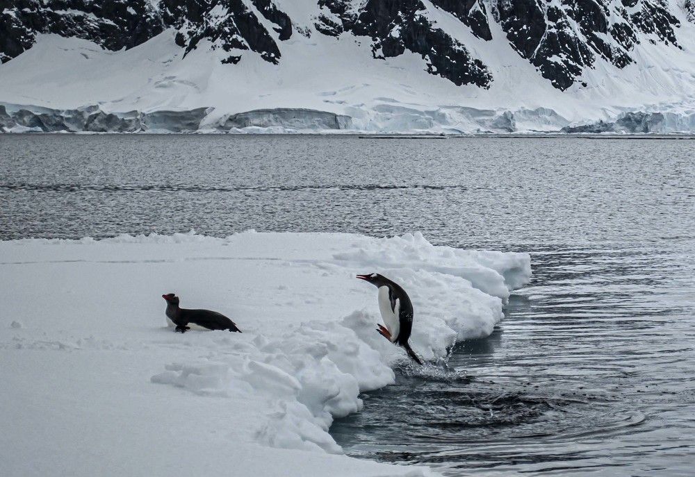 Photograph by Ованес Агарян