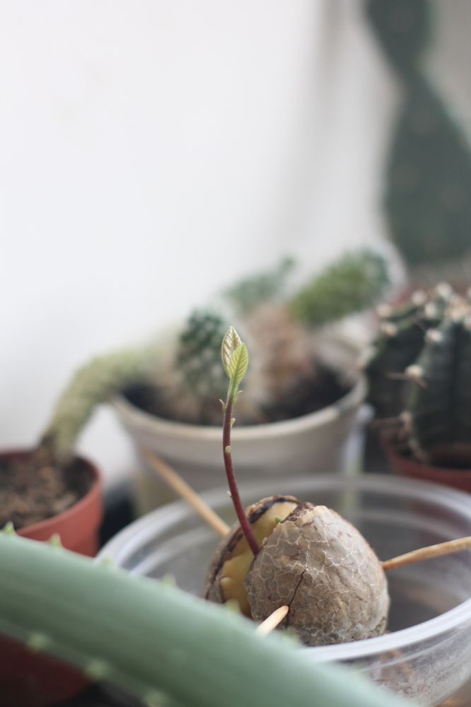 Photograph by Оксана Михайлова