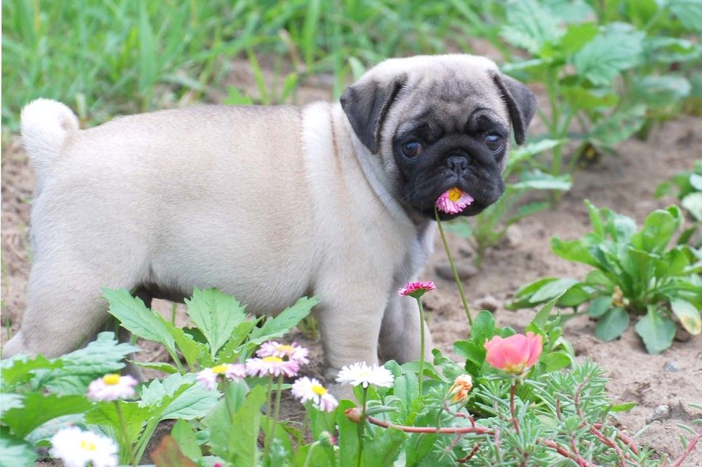 Photograph by Оксана Трофименко