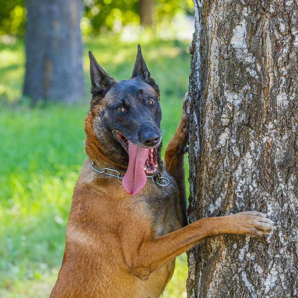 Photograph by Алексей Трифонов