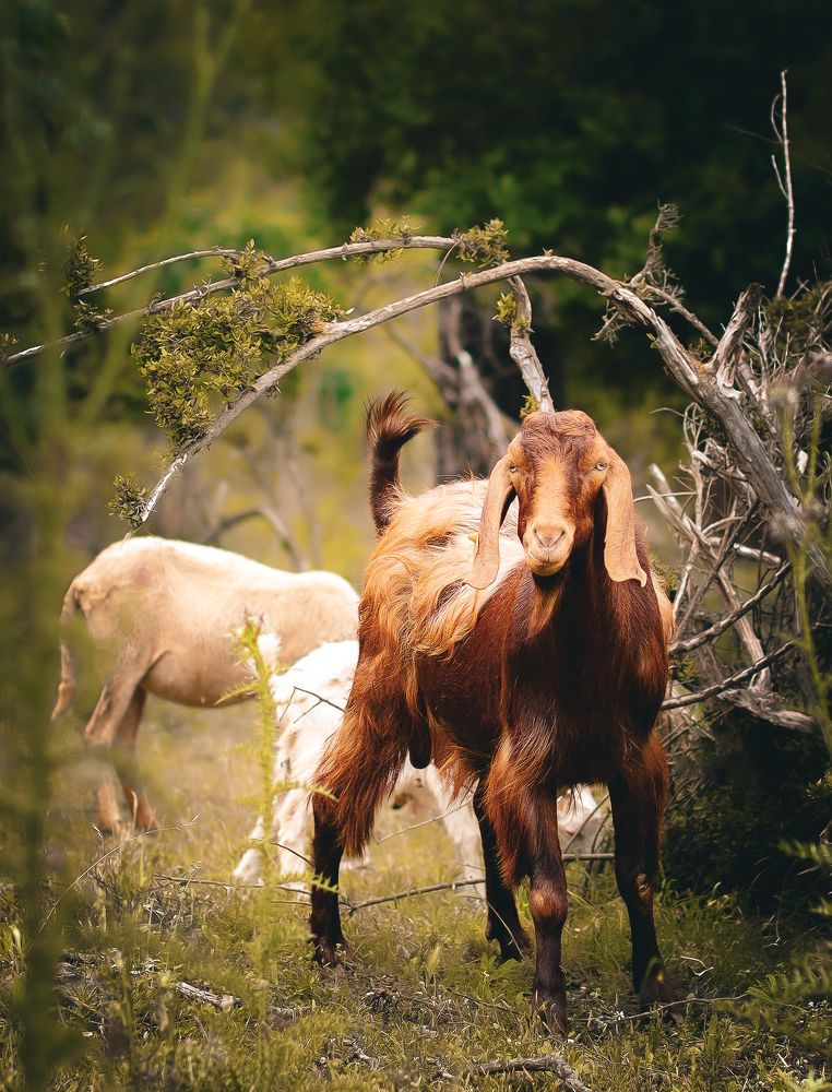 Фотография автора Барсуков Владимир
