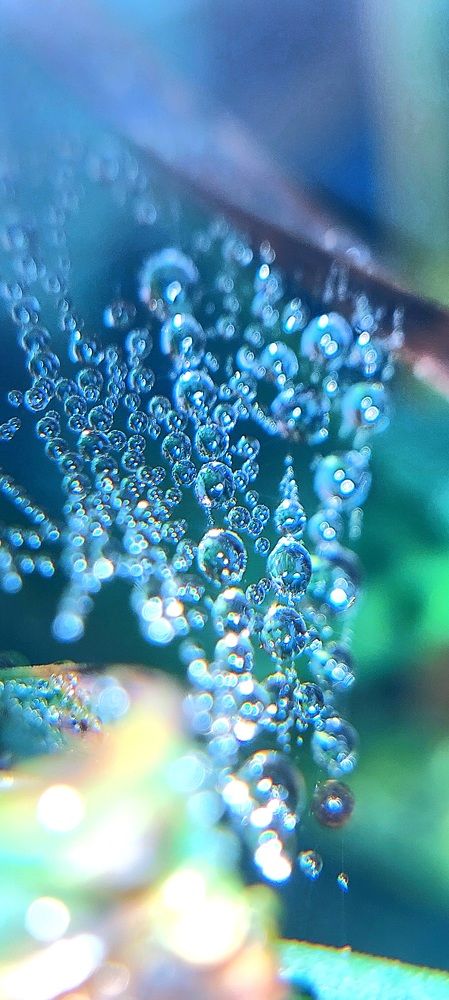 Фотография автора Сергей Можаев